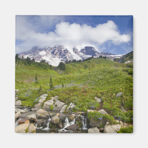 Imã Edith Creek e prados de flores silvestres no Para