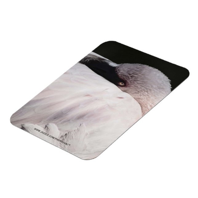 Ímã Efeito de Desenho de Retrato de Flamingo Rosa Arte (Left Side)