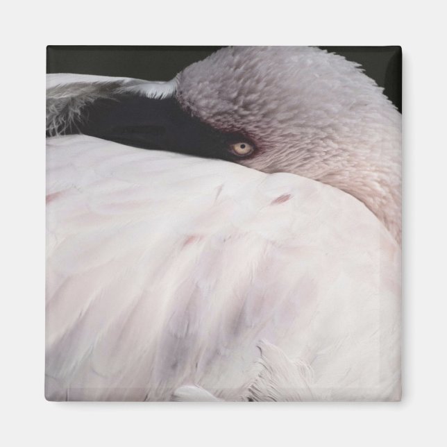 Imã Efeito de desenho de retrato de flamingo rosa Arte (Frente)