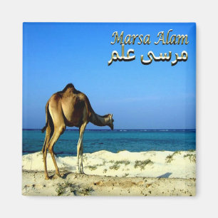Imã EG - Egito - Marsa Alam