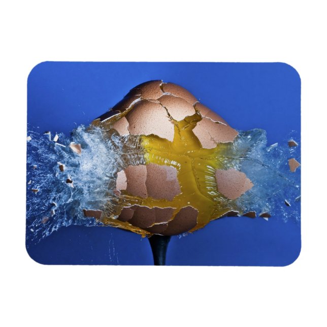 Ímã Eggception (Horizontal)