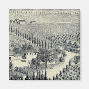 Imã Eggers Vineyard, Fresno