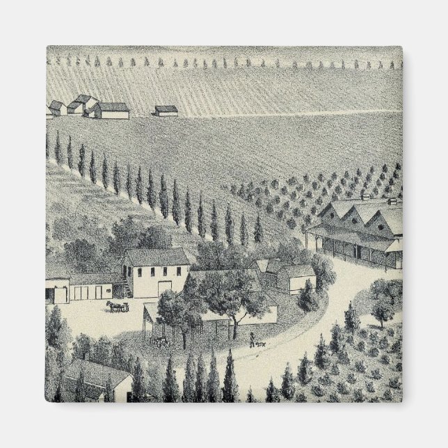 Imã Eggers Vineyard, Fresno (Frente)