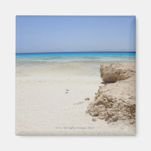 Imã Egipto, Mar Vermelho, Marsa Alam, EL Luli de