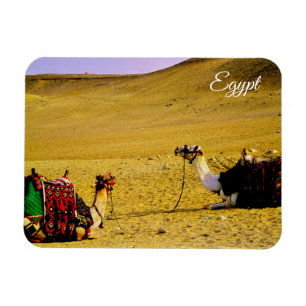 Ímã Egito