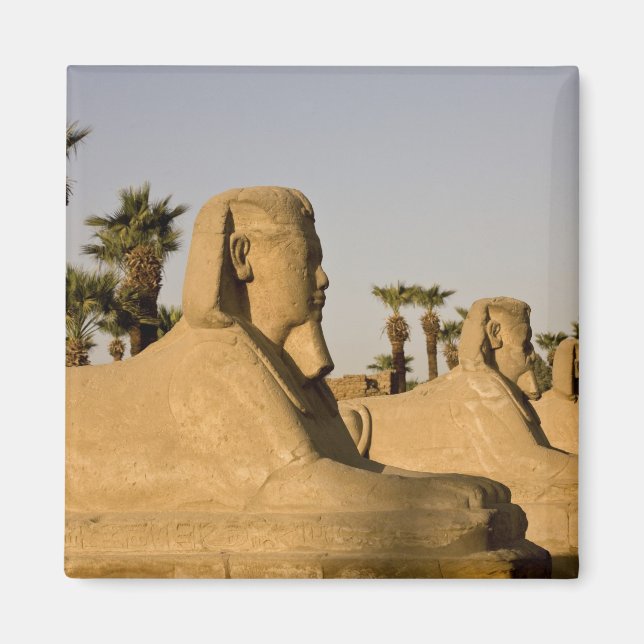 Imã Egito, Luxor. A Avenida das Esfinges leva a (Frente)