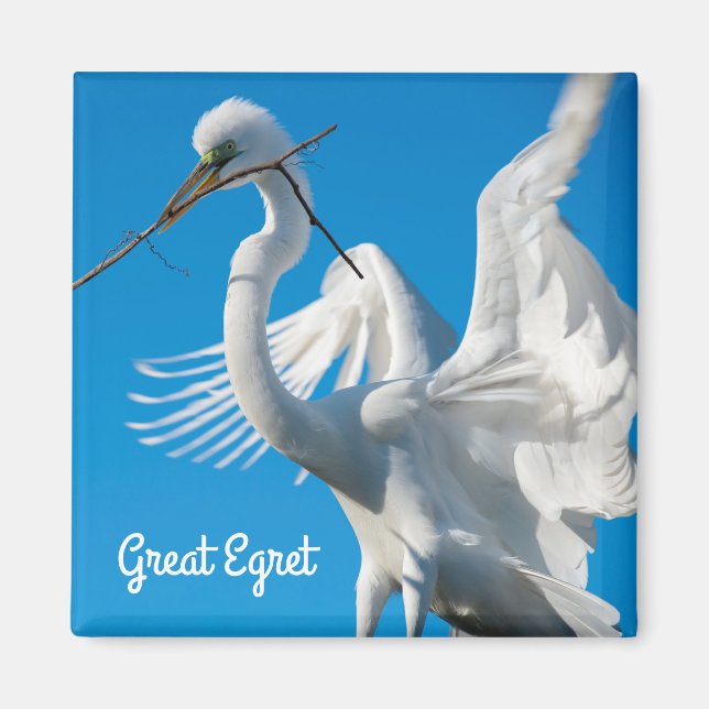 Imã Egret do excelente (Frente)
