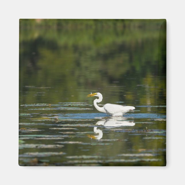 Imã Egret Fish Banquete (Frente)