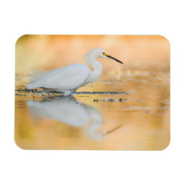 Ímã Egret When the Sun is Setting (Egret quando o sol
