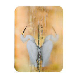 Ímã Egret When the Sun is Setting (Egret quando o sol