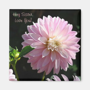 Imã Ei Irmã Te Ama! Presentes de íman Dahlia Rosa