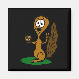 Imã eichhörnchen comic