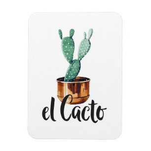 Ímã El Cactus