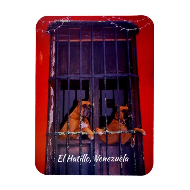 Ímã El Hatillo, Venezuela (Vertical)