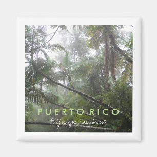 Imã EL Yunque, Puerto Rico