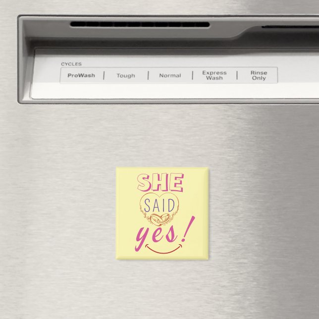Imã Ela disse sim (In Situ (Dishwasher))