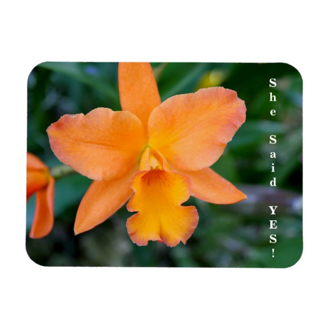 Ímã Ela Disse Sim Noivado Magnet (Horizontal)