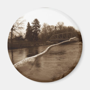 Imã Elasmosaurus Gifts