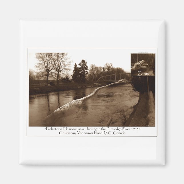 Imã Elasmosaurus Gifts (Frente)