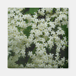 Imã Elderberry Blossoms Magnet