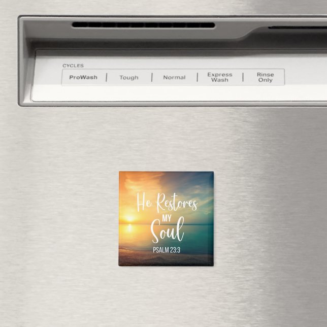 Imã Ele Restaura minha alma (In Situ (Dishwasher))