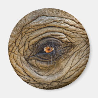 Imã Elefant Eye Magnet