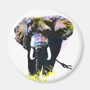 Imã Elefante