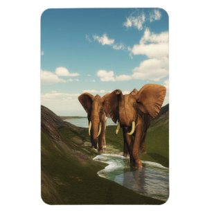 Ímã Elefante