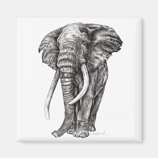 Imã Elefante (Frente)