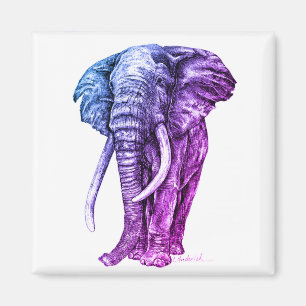 Imã Elefante