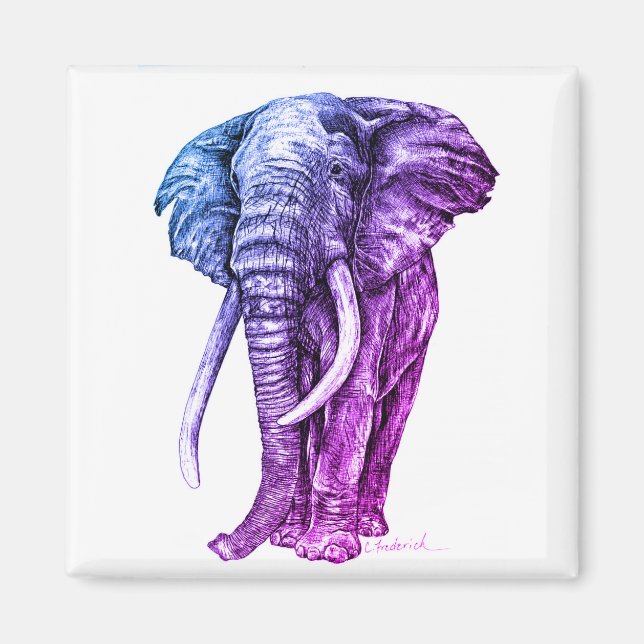 Imã Elefante (Frente)