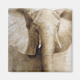 Imã Elefante 2004
