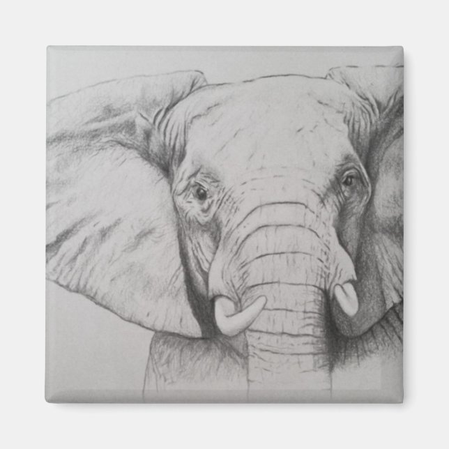 Imã Elefante 2011 (Frente)