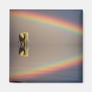 Imã Elefante, água, e arco-íris, Kenya