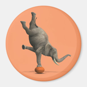 Imã Elefante Artístico