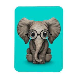 Ímã Elefante bonito do bebê com os vidros de leitura