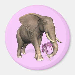 Imã Elefante Com Orquídea Rosa