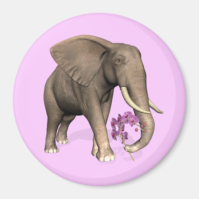 Imã Elefante Com Orquídea Rosa (Frente)