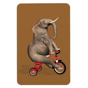 Ímã Elefante Cujo Ciclo Ande É Um Triciclo
