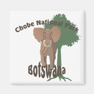 Imã Elefante do Parque Nacional Chobe