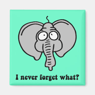 Imã Elefante engraçado