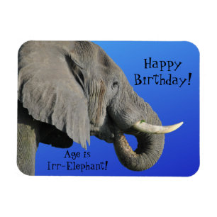 Ímã Elefante Feliz Aniversário Engraçado Idade Irr E