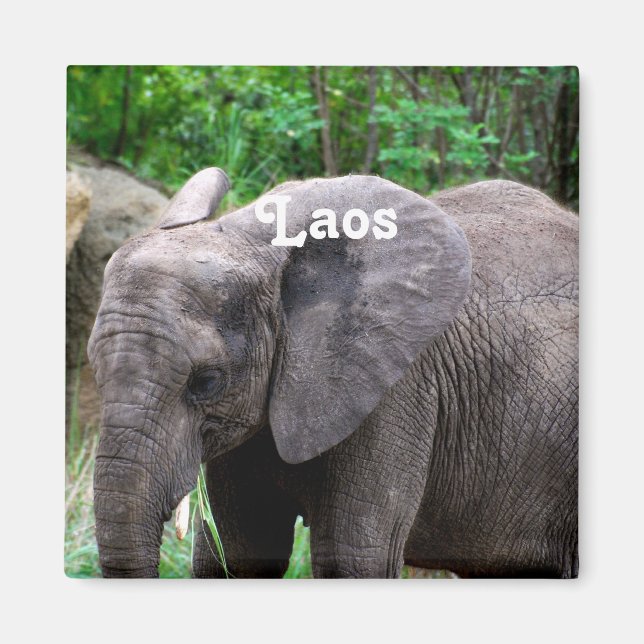 Imã Elefante Laos (Frente)