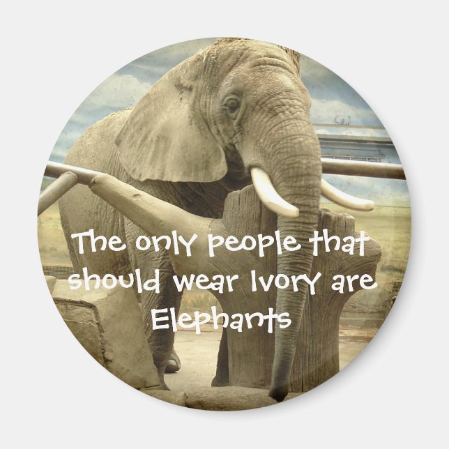 Imã Elefante Love (Frente)