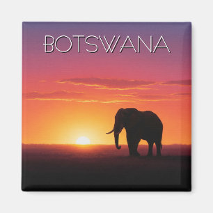 Imã Elefante na viagem do pôr do sol em Botswana