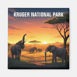 Imã Elefante no Parque Nacional de Kruger na África do