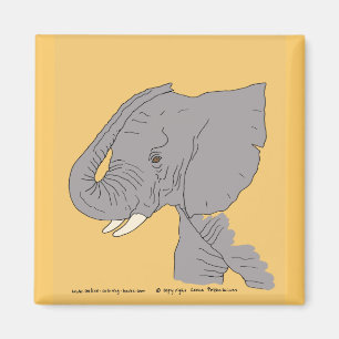 Imã Elefante novo