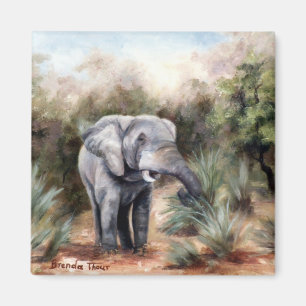 Imã Elefante que vem através do ímã