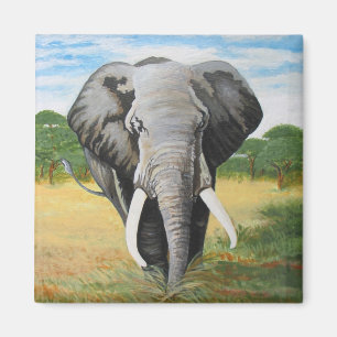 Imã Elefante selvagem