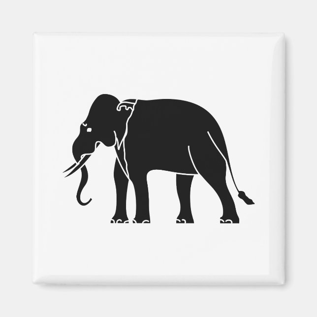 Imã Elefante Siamês (Frente)